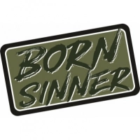 Патч Federkamm «Born sinner» купить в Химках